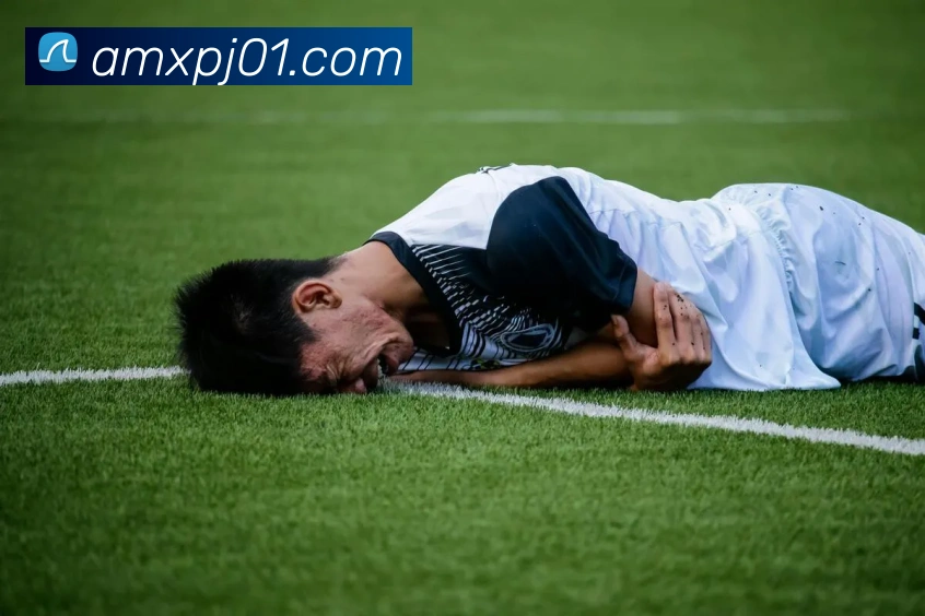 新葡京官网APP 高清赛事图